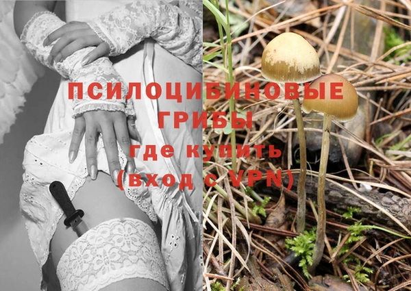 марихуана Нефтекумск