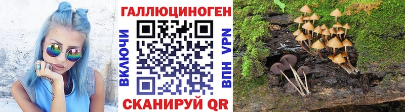 Галлюциногенные грибы ЛСД  купить  цена  Волгоград 